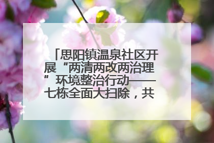 思阳镇温泉社区开展“两清两改两治理”环境整治行动——七栋全面大扫除，共建洁净家园