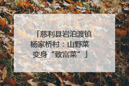 慈利县岩泊渡镇杨家桥村：山野菜变身“致富菜”