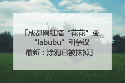 成都网红墙“花花”变“labubu”引争议 最新：涂鸦已被抹掉