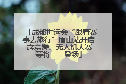 成都世运会“跟着赛事去旅行”眉山站开启 霹雳舞、无人机大赛等将一一登场