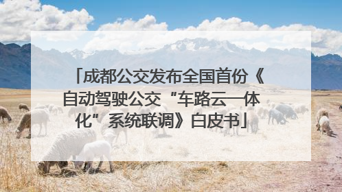 成都公交发布全国首份《自动驾驶公交“车路云一体化”系统联调》白皮书