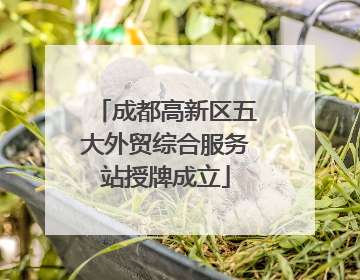 成都高新区五大外贸综合服务站授牌成立