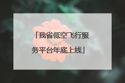 我省低空飞行服务平台年底上线