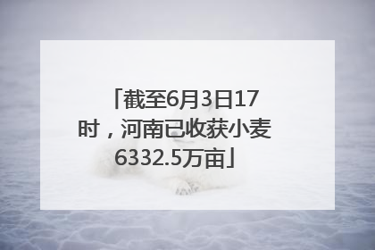 截至6月3日17时，河南已收获小麦6332.5万亩