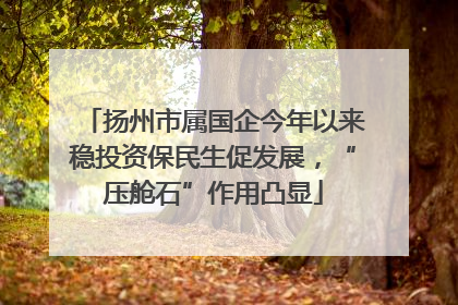 扬州市属国企今年以来稳投资保民生促发展，“压舱石”作用凸显