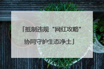 抵制违规“网红攻略” 协同守护生态净土