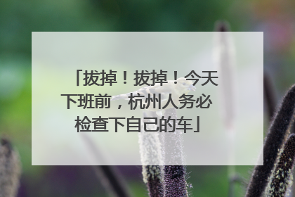 拔掉！拔掉！今天下班前，杭州人务必检查下自己的车