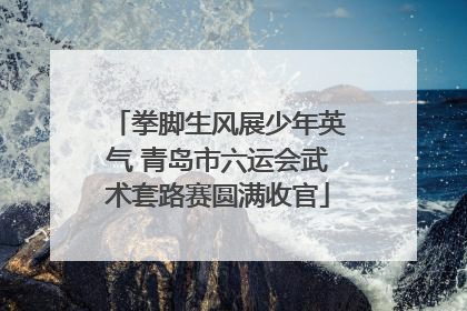 拳脚生风展少年英气 青岛市六运会武术套路赛圆满收官