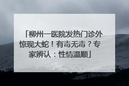 柳州一医院发热门诊外惊现大蛇！有毒无毒？专家辨认：性情温顺