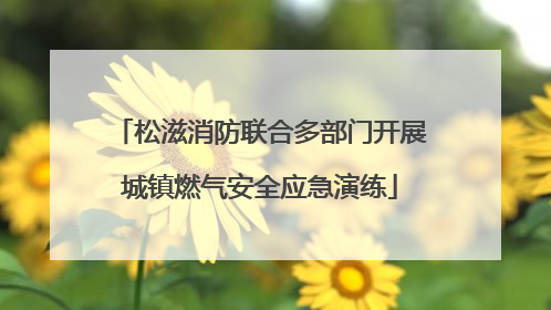 松滋消防联合多部门开展城镇燃气安全应急演练