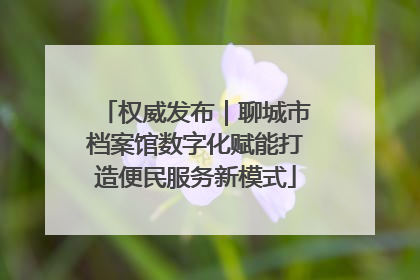 权威发布｜聊城市档案馆数字化赋能打造便民服务新模式