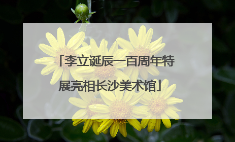 李立诞辰一百周年特展亮相长沙美术馆