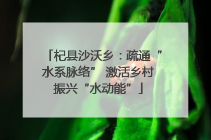 杞县沙沃乡：疏通“水系脉络” 激活乡村振兴“水动能”