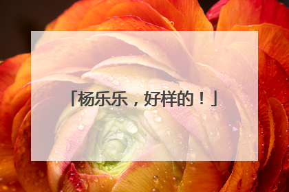杨乐乐，好样的！