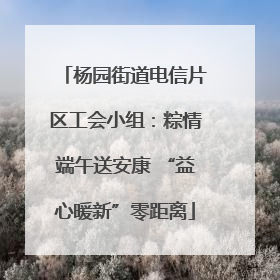 杨园街道电信片区工会小组：粽情端午送安康 “益心暖新”零距离