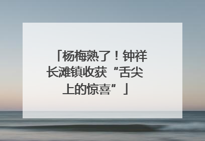 杨梅熟了！钟祥长滩镇收获“舌尖上的惊喜”