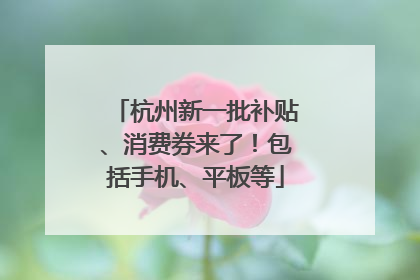 杭州新一批补贴、消费券来了！包括手机、平板等