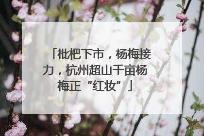 枇杷下市，杨梅接力，杭州超山千亩杨梅正“红妆”