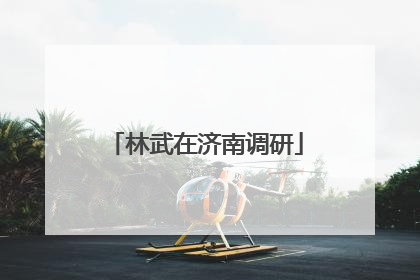 林武在济南调研