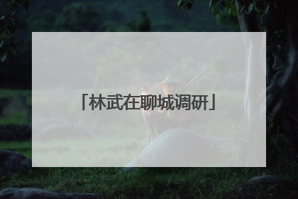 林武在聊城调研