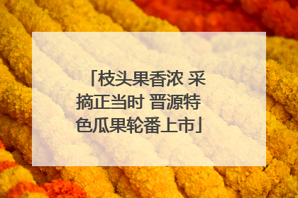 枝头果香浓 采摘正当时 晋源特色瓜果轮番上市