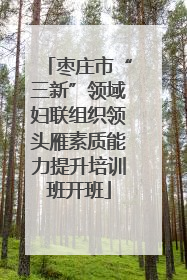 枣庄市“三新”领域妇联组织领头雁素质能力提升培训班开班