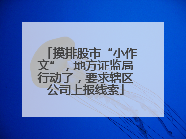 摸排股市“小作文”，地方证监局行动了，要求辖区公司上报线索