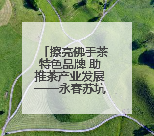 擦亮佛手茶特色品牌 助推茶产业发展——永春苏坑举办2025年春季佛手茶王赛