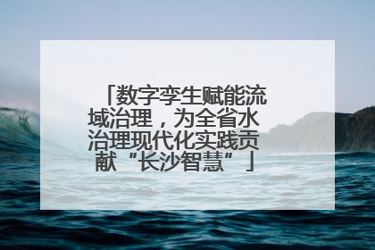 数字孪生赋能流域治理，为全省水治理现代化实践贡献“长沙智慧”