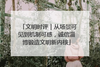 文明时评｜从场景可见到机制可感，诚信淄博锻造文明新内核