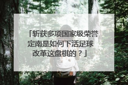 斩获多项国家级荣誉 定南是如何下活足球改革这盘棋的？