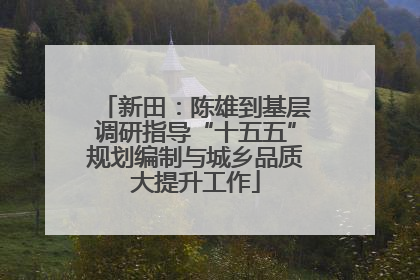 新田：陈雄到基层调研指导“十五五”规划编制与城乡品质大提升工作