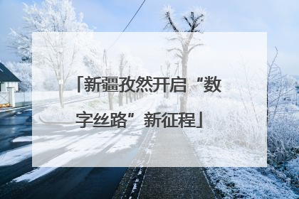 新疆孜然开启“数字丝路”新征程