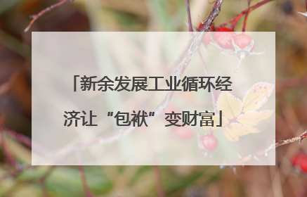 新余发展工业循环经济让“包袱”变财富