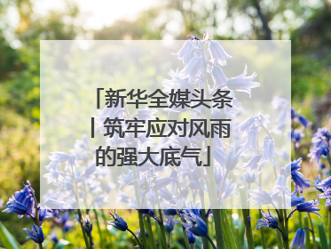 新华全媒头条丨筑牢应对风雨的强大底气