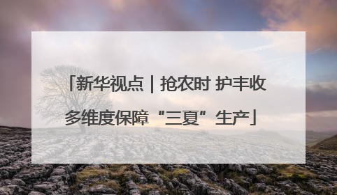 新华视点｜抢农时 护丰收 多维度保障“三夏”生产