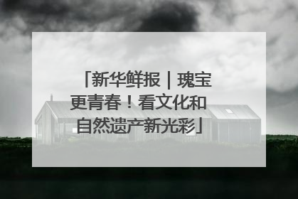 新华鲜报｜瑰宝更青春！看文化和自然遗产新光彩