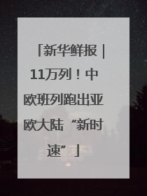 新华鲜报｜11万列！中欧班列跑出亚欧大陆“新时速”