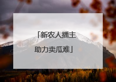 新农人播主 助力卖瓜难
