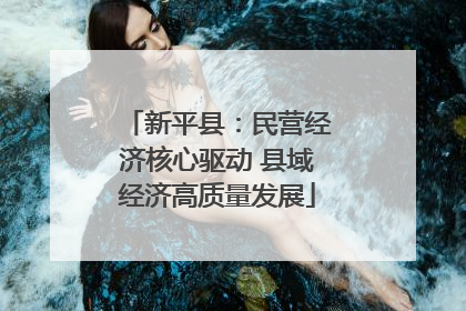 新平县：民营经济核心驱动 县域经济高质量发展