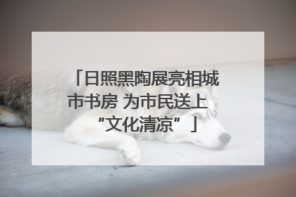 日照黑陶展亮相城市书房 为市民送上“文化清凉”