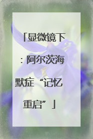 显微镜下：阿尔茨海默症“记忆重启”