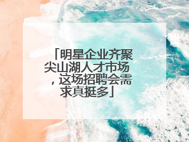 明星企业齐聚尖山湖人才市场，这场招聘会需求真挺多