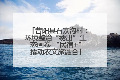 昔阳县石寨沟村：环境整治“绣出”生态画卷 “民宿+”撬动农文旅融合