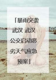 暴雨突袭武汉 武汉公交启动恶劣天气应急预案