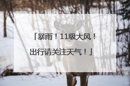 暴雨！11级大风！出行请关注天气！