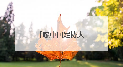 曝中国足协大概率不会与伊万科维奇续约