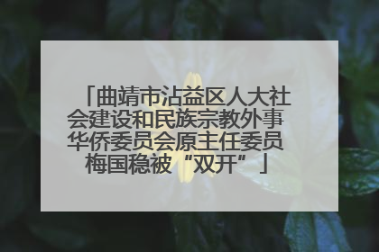 曲靖市沾益区人大社会建设和民族宗教外事华侨委员会原主任委员梅国稳被“双开”