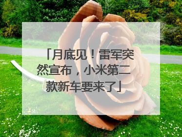 月底见！雷军突然宣布，小米第二款新车要来了