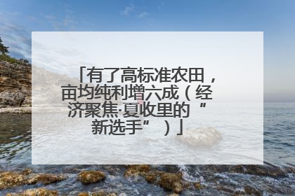 有了高标准农田，亩均纯利增六成（经济聚焦·夏收里的“新选手”）
